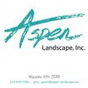 Aspen Landscape