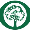 Aspen Tree Service