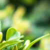 Associated Lawn & Landscaping Service