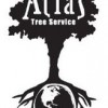Custom Tree Service