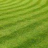 Four Seasons Atlanta Lawn Care