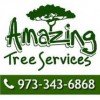 Amazing Tree Service