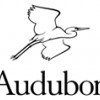 Audubon Center
