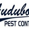 Audubon Pest Control