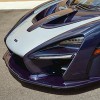 Auto Paint Guard