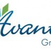 Avante Group