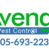 Avenge Pest Control