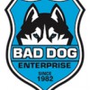 Bad Dog Pest Control