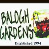 Balogh Gardens