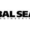Bal Seal Engineering