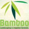 Bamboo Landscapers