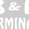 B & B Extermination