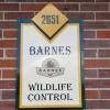 Barnes Wildlife Control