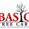 Basic Tree Care & Landscaping