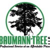 Baumann Tree