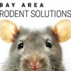 Bay Area Rodent Solutions