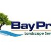 Bay Pro Landscape Service