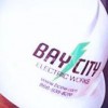 Bay City Electric Works