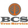 BCS Tree Service