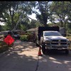 BCS Tree Service