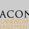 Beacon Landscaping