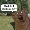 Bearicuda