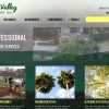 Bear Valley Tree Care