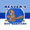 Beavers Bug Blasters