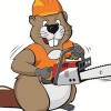 Beaver's Tree Service