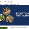 Beaver Tree
