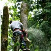 Becker Tree Service
