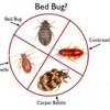 Bed Bug Heater Rentals Ohio