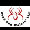 Dead Bug Walkin