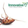 Bed Bug Solutions