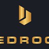 BedRock Protection Agency