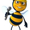 The Bee Removers