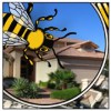 The Bee Detectives