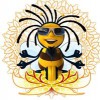 Amrit Honey Bee Rescue
