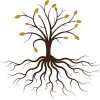 Bee Rooted