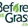 Before The Grass