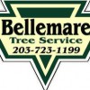 Bellemare Tree Service
