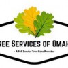 Bellevue Tree Care