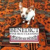 Benedict Fine Rug Cleaning