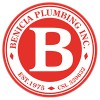 Benicia Plumbing