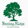 Bentley Ridge Tree Farm & Nursery