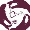 Berkeley Acupuncture Project