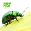 U S Pest Control