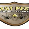 Best Pest Control