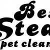 Best Steam Carpet Cleaning