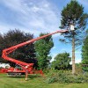 BetterScapes Tree Service
